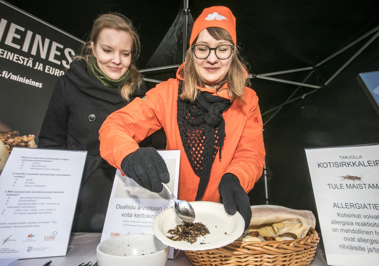 Kirsi Korhonen Luonnonvarakeskuksesta (vas.) ja Kaisa Myllykangas maa- ja kotitalousnaisista maistattivat sirkkoja ja sirkkaleipää.