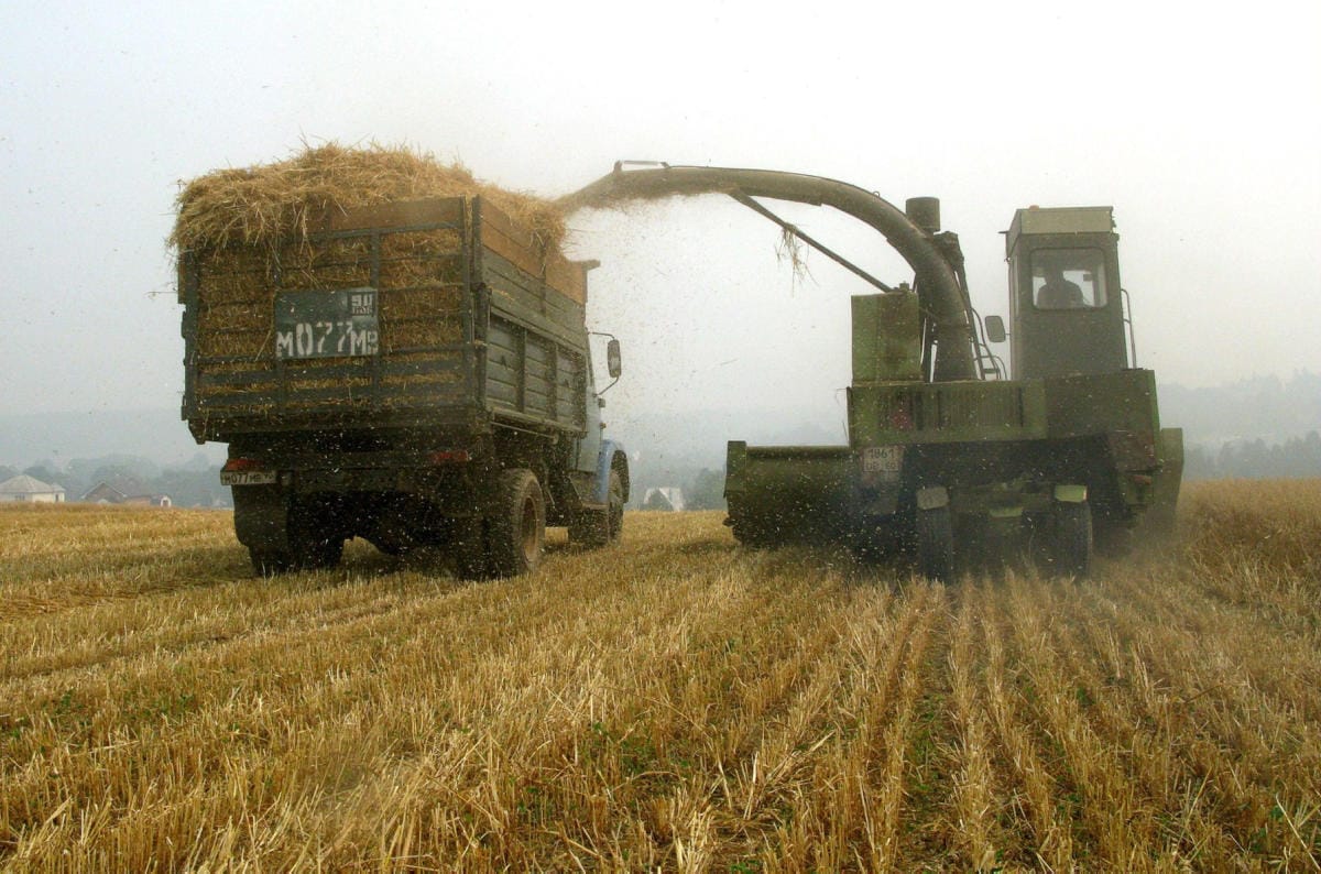 Sekä Venäjä että Ukraina ovat merkittäviä viljan viejiä, mutta sodan takia suuri osa Ukrainan viljasadosta uhkaa jäädä korjaamatta tai istuttamatta. Kuvassa‎ viljaa korjataan Moskovan eteläpuolella. LEHTIKUVA /AFP