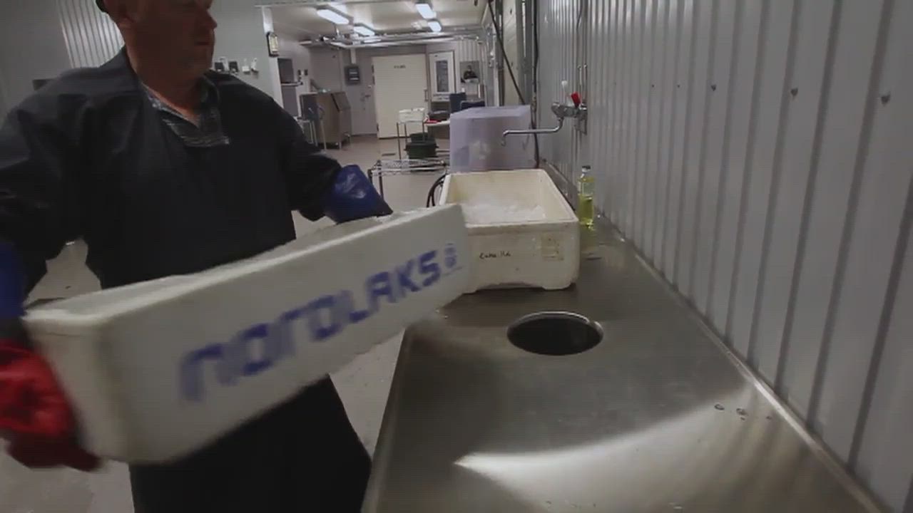 Sirkkakosken kalasatama Miekojärvellä