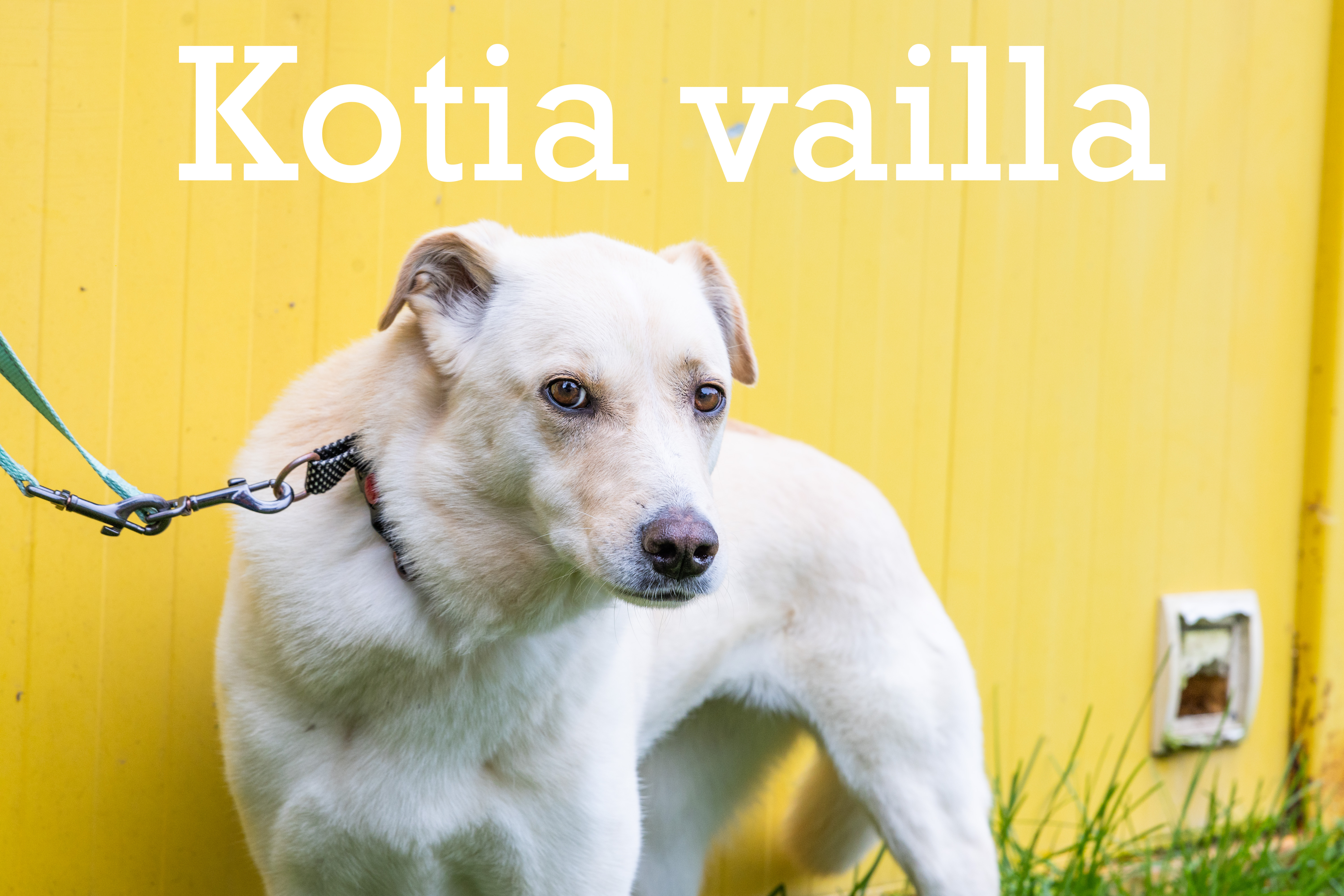 Automarketin takana hökkelikylässä majailee kymmenen koditonta – "Niiden tarinat koskettavat sielua"