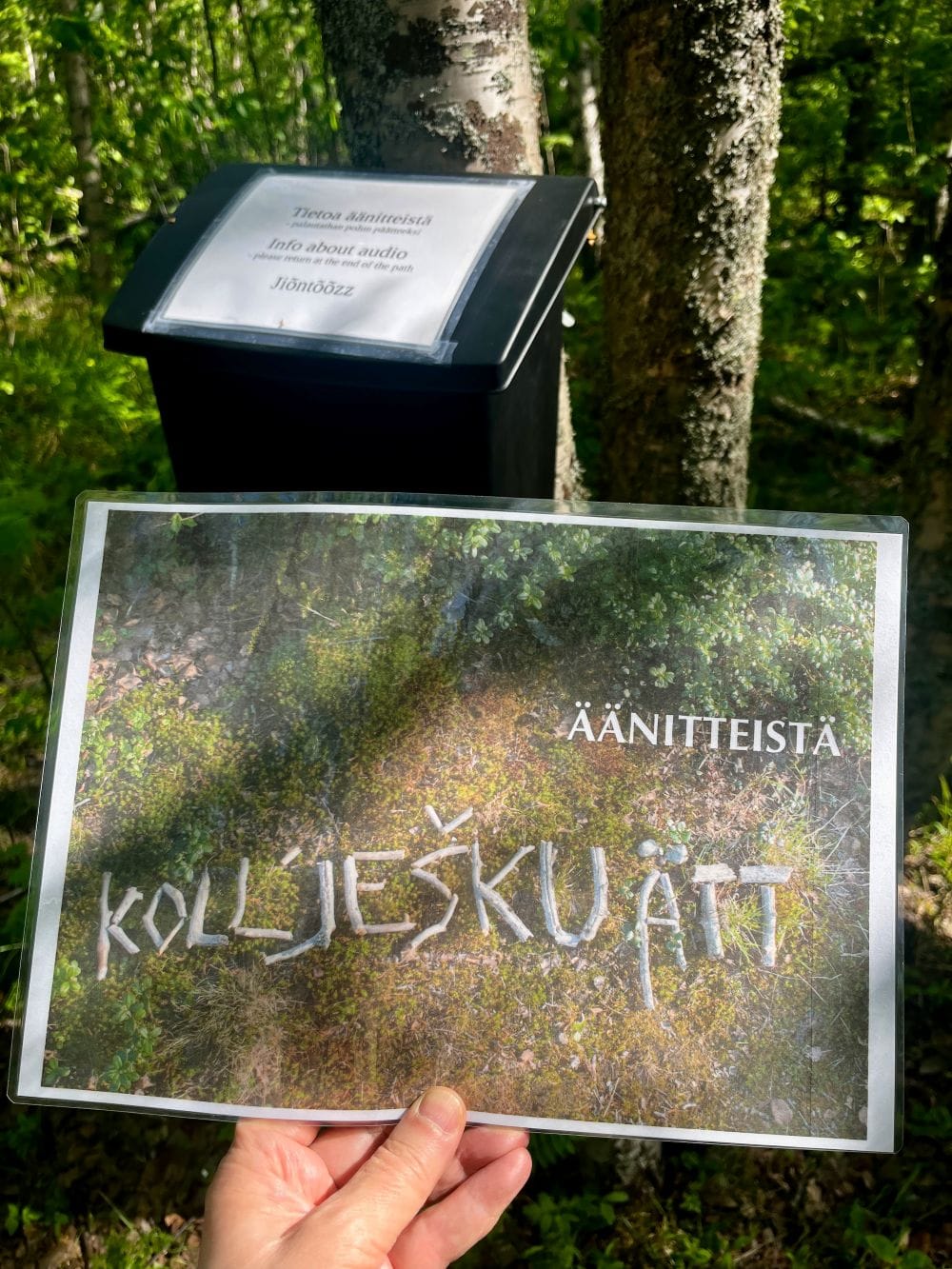 Toppilansaaren luontopolulla kulkija voi pysähtyä kuuntelemaan kolttasaamelaisten kotiseutualueelta tallennettuja ääniä, tarinoita ja puhetta.