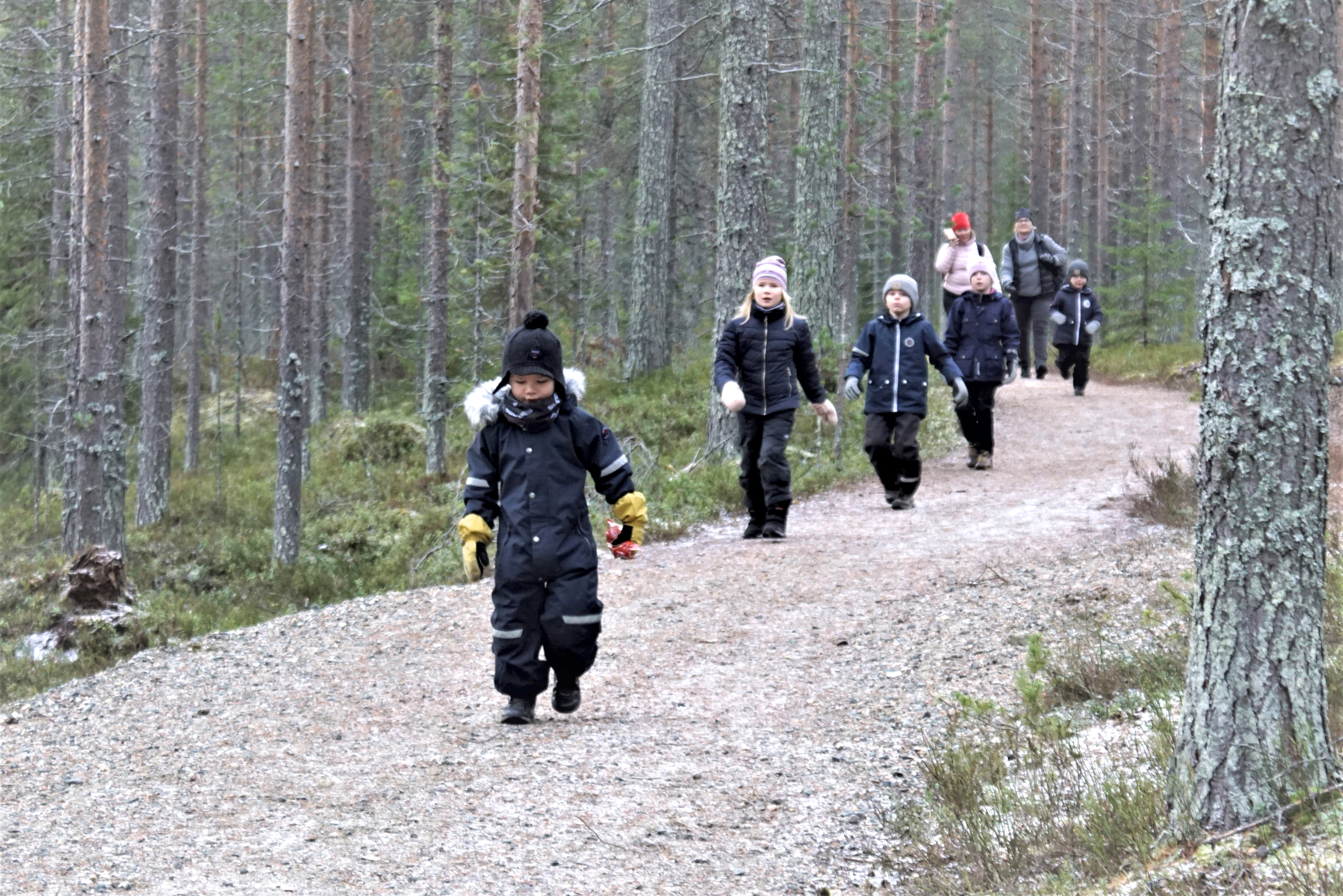 Pekkasen ja Tuomivaaran juniorit huomasivat uusitun polun hyväksi vaikka kilpaa juosta.