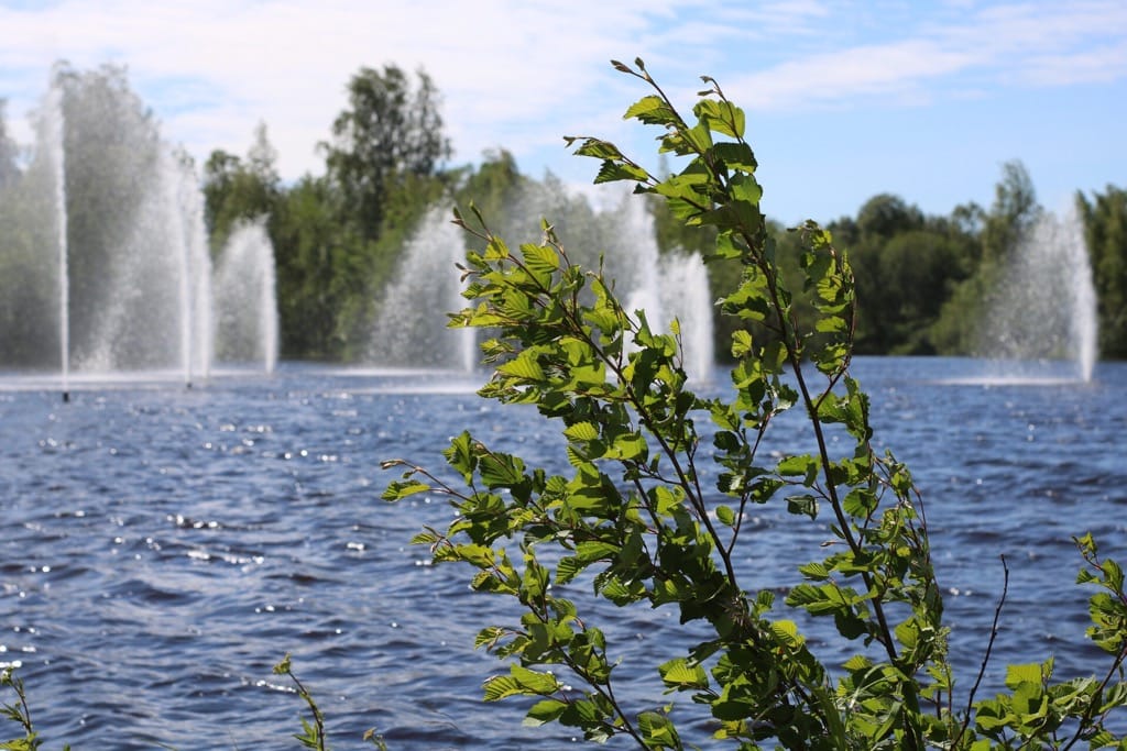 oulu, suihkulähde, suihkulähteet, kesä, aurinko, helle