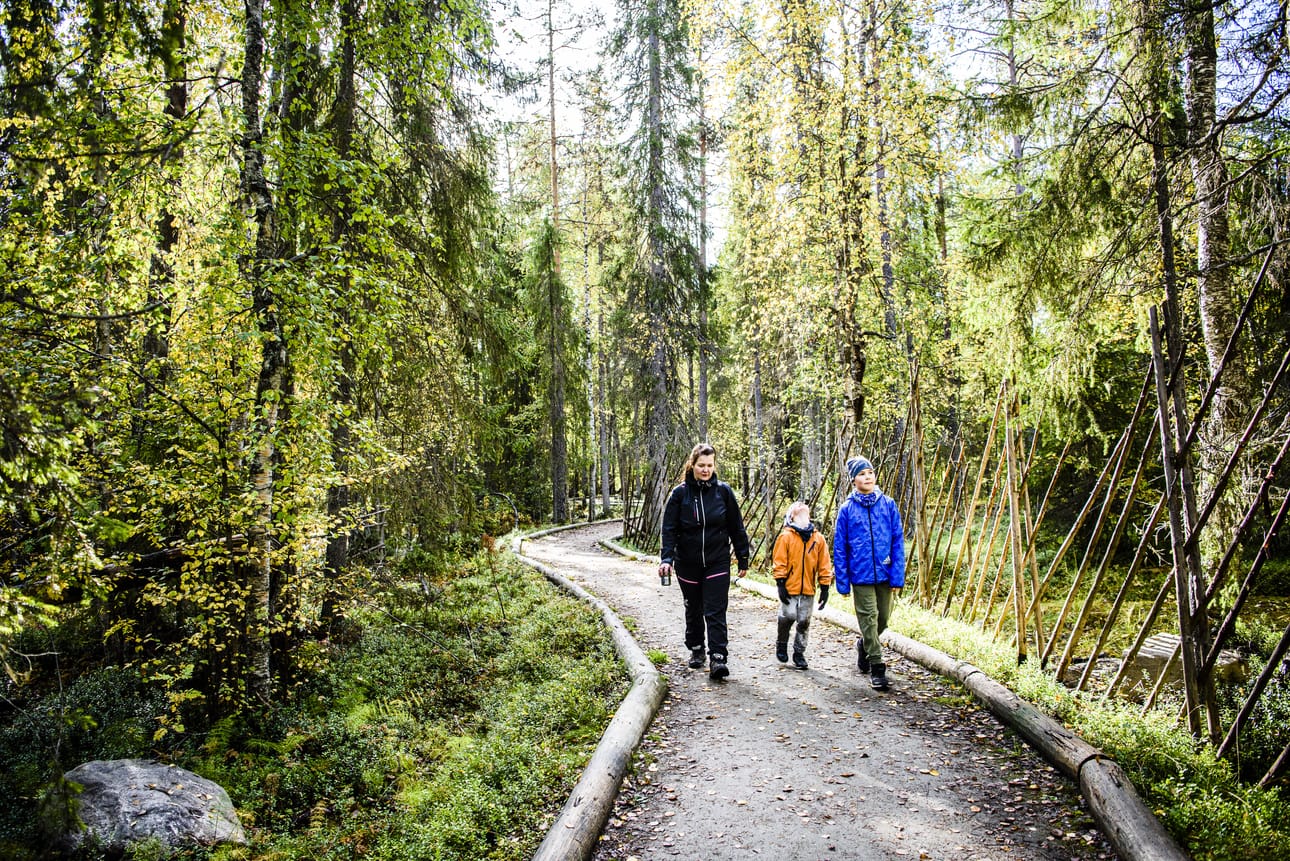 Tuula Ruotsalainen kävi poikiensa, viisivuotiaan Matin ja yhdeksänvuotiaan Ossin kanssa paistamassa "aamupalamakkarat" Vaattunkikönkään laavulla. Rovaniemen lähialueen reitit ovat yleensä kohteena kun he suuntaavat metsään. Vaattunkönkään reittiä Tuula pitää erittäin hyvökuntoisena. Samaa ei voi sanoa monista muista Rovaniemen alueen reiteistä.