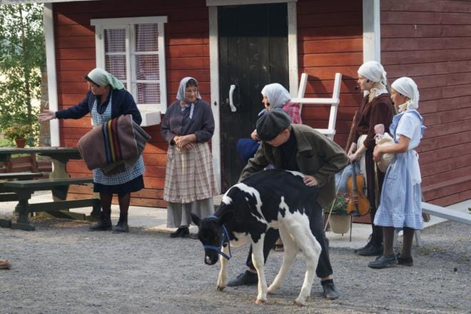 Jyrkän kesäteatterin uusi näytelmä kertoo evakkojen kohtaloista. Evakkoperhe lapsineen saapuu Pohjanmaalle Hakalan taloon, jossa heidät otetaan vastaan vieraina. Näyttämöllä käväisee yli kaksikymmentä eri-ikäistä tulkitsijaa. KUVA: RAIMO HAUTALA