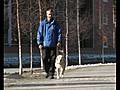 Opaskoira tuo vapautta näkövammaiselle