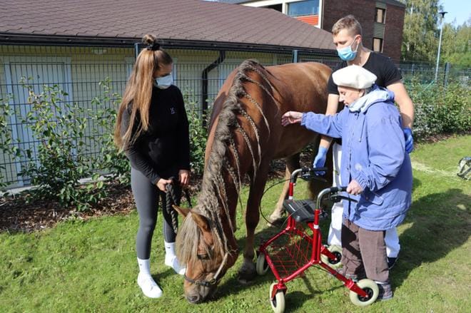 Aino Hietalalle hevonen toi muistoja mieleen. Anna Pitkänen oli tuonut Pöly Prinssin Pihlajakallion vieraaksi ja sitä kävi silittelemässä myös fysioterapeutti Aki Sokka. KUVAT: EEVA-LIISA KULJU