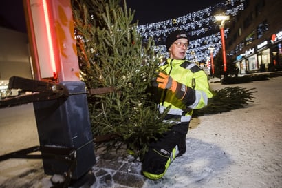 Rovaniemen keskustaan pystytettiin yhteensä 200 joulukuusta – Markkinakiinteistöt pyrkii elävöittämään keskustaa tänä talvena
