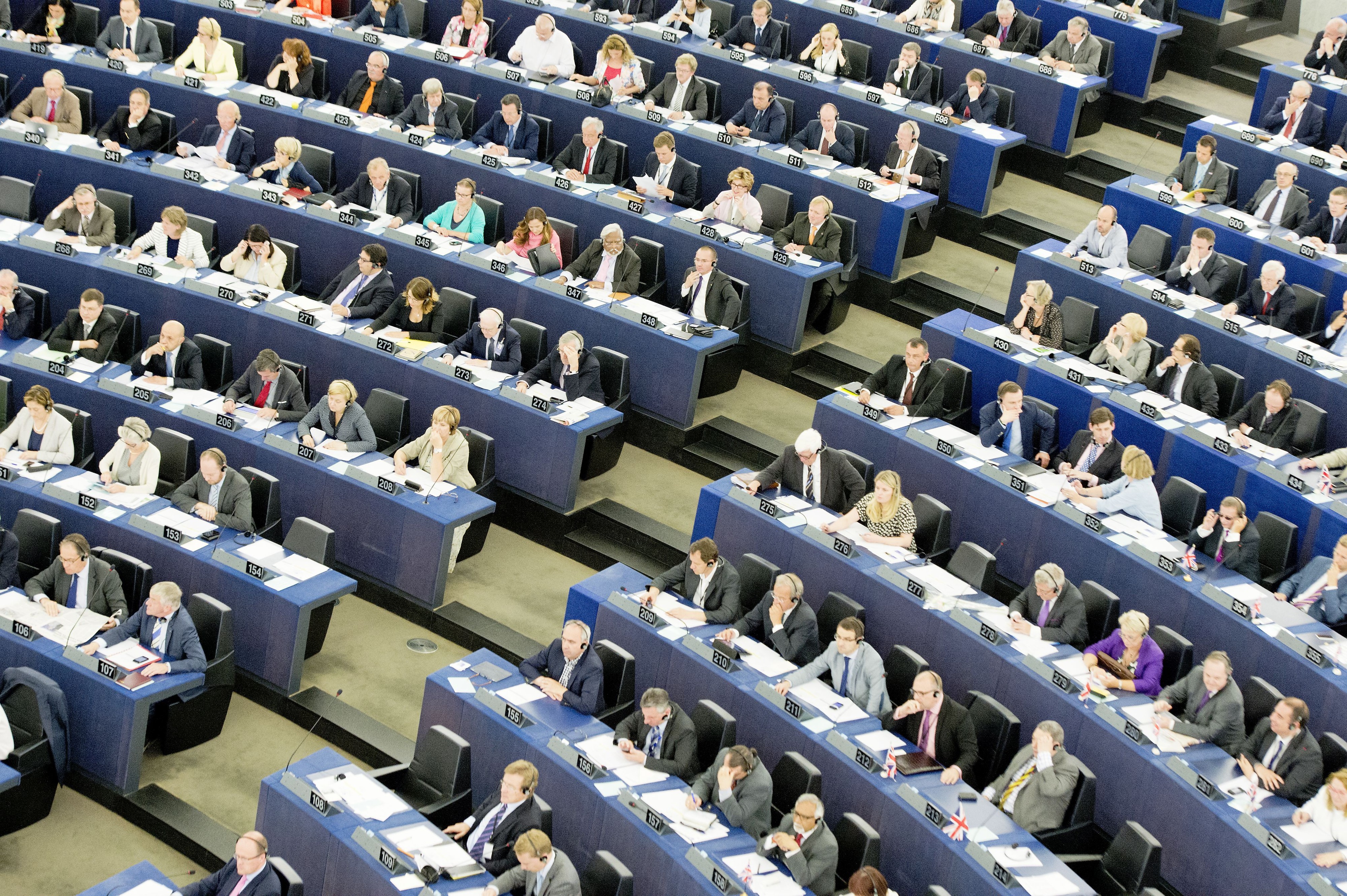 Suomalainen EU-edustaja saa kuukaudessa 6 800 euron verotettavan palkkion ja 4 500 euron verottoman kulukorvauksen. Lisäksi hän saa parlamenttipäiviltä 320 euron verottoman päivärahan. Myös muita kulukorvauksia maksetaan jonkin verran. EU-parlamentissa on nyt noin 751 edustajaa, joista suomalaisia 13.