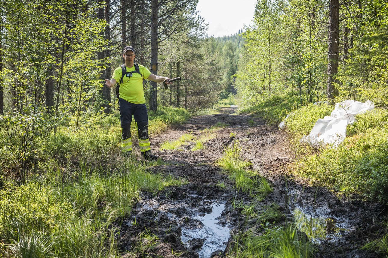Tämä mutakuoppa vaatii vedenohjausta sekä suodatinkankaan ja sepelin, jotta tästä voisi kulkea, suunnittelija Taneli Kaakinen kertoo. Tänä kesänä tätä ja vastaavia polkuja kestävöitetään parempikulkuisiksi.