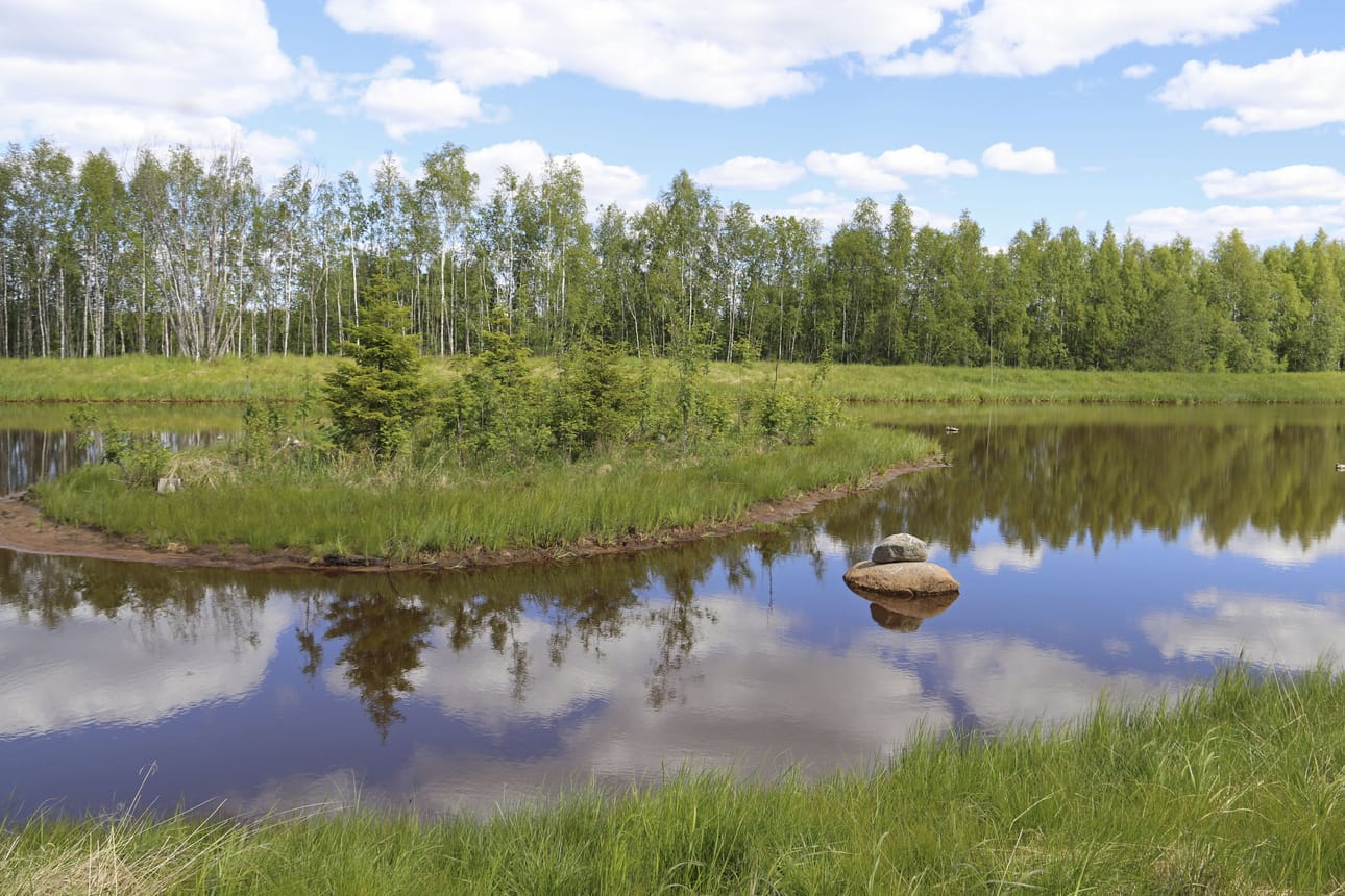 Kosteikot voivat olla monikäyttöisiä. Hirvinevan kosteikko on rakennettu riistanäkökulmaa hyödyntäen.