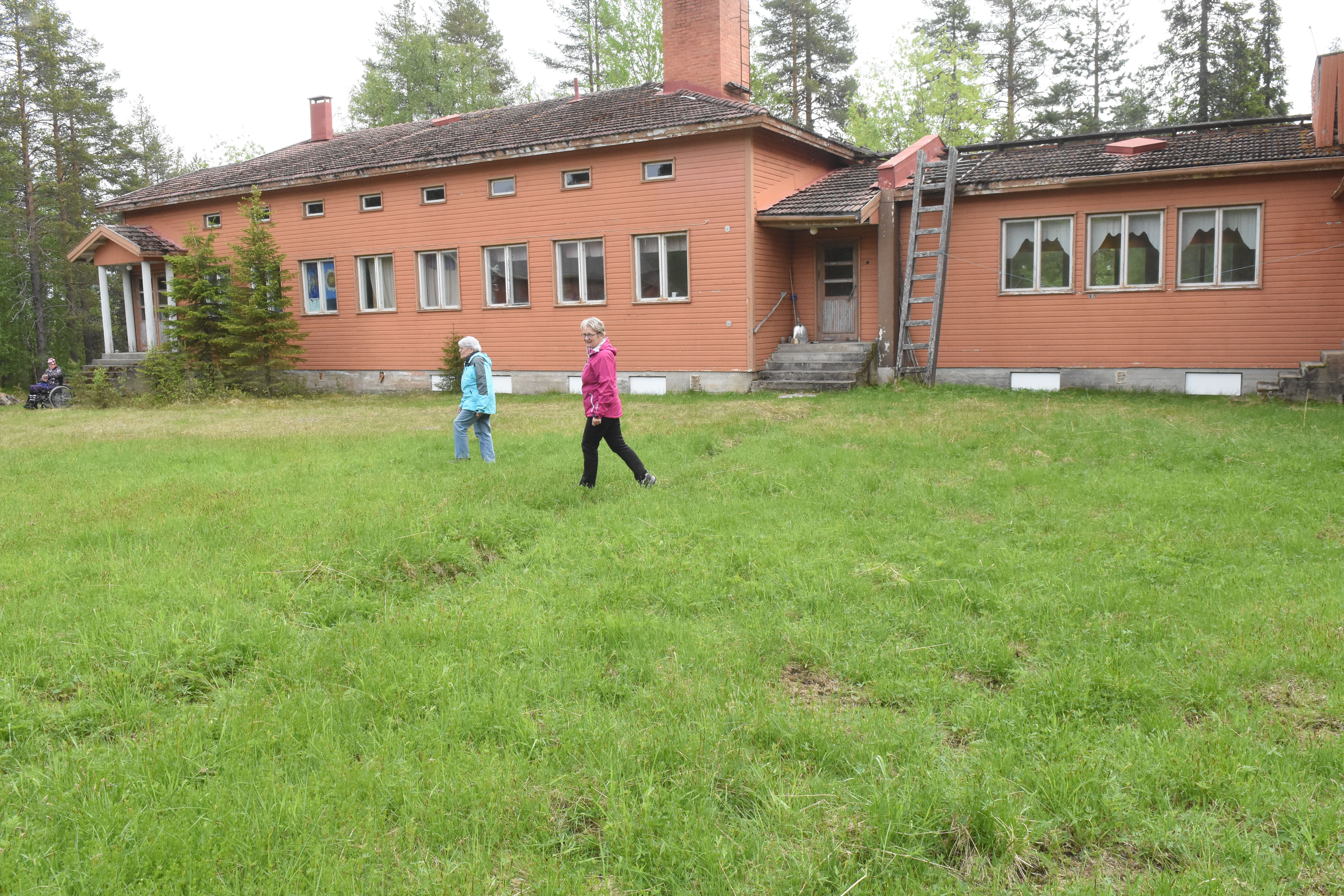 Tammelan koulun pihamaata. Tammelan koulu -nimistä koulua ei ole koskaan oikeasti ollut.