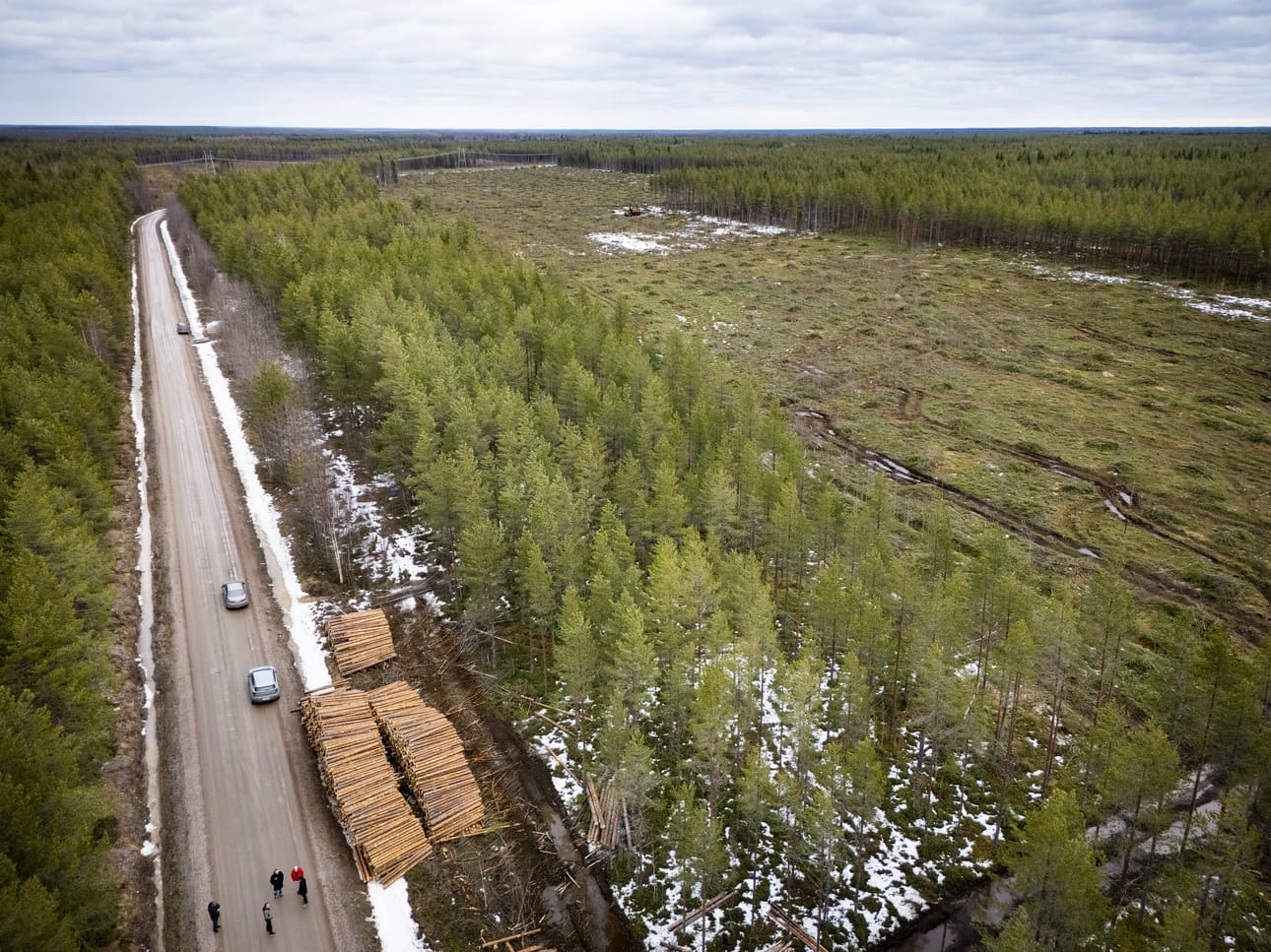 Muhoksella alueella, jonne Googlen datakeskusta ollaan mahdollisesti rakentamassa, on tehty jo hakkuutöitä.