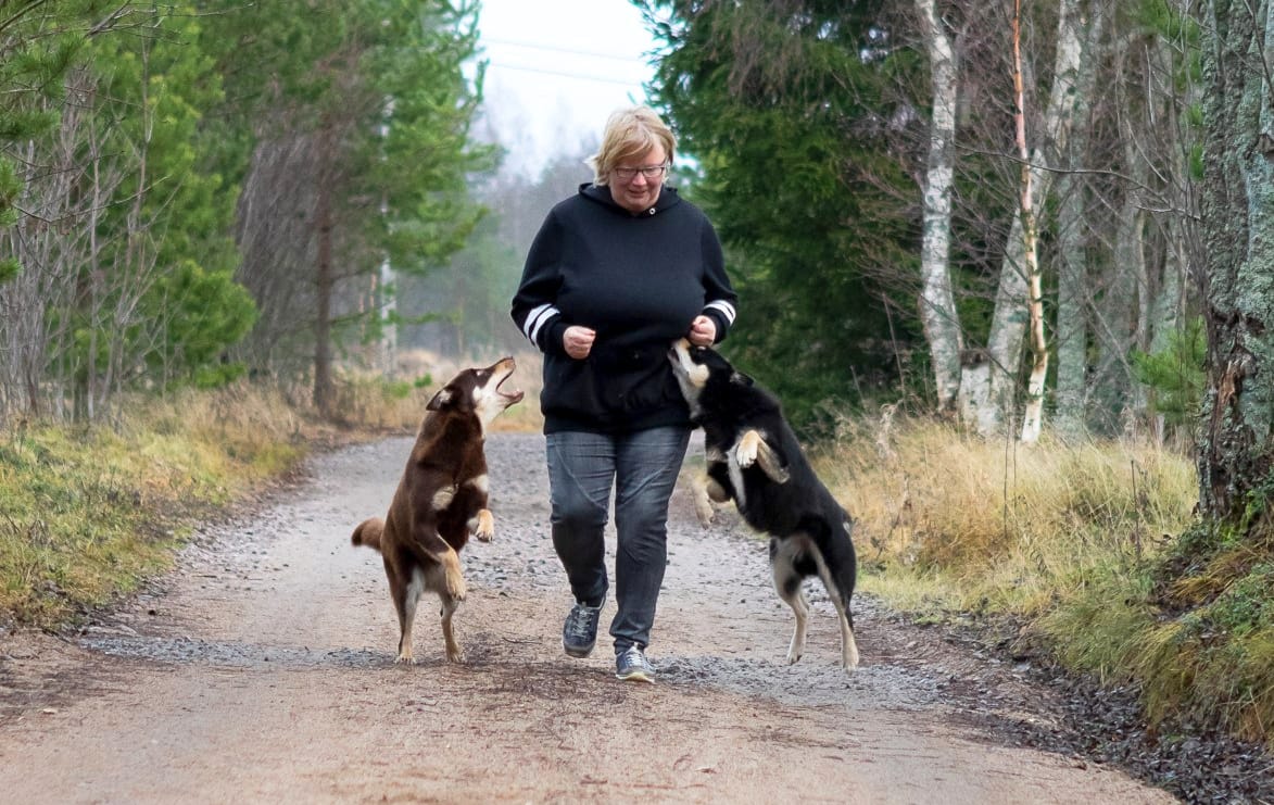 Mari Jesiöjärvi on pitänyt koirahoitolaa Lumijoella vuoden 2020 joulukuusta. Tämän vuoden alusta hän on vastannut myös Raahen alueen löytökoirien vastaanotosta.