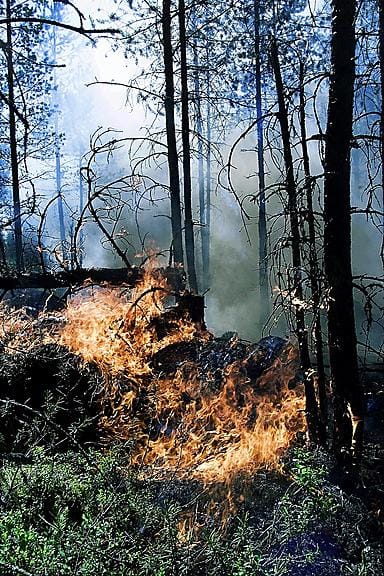 Rovajärven ampuma-alueella syttyi maastopalo tiistai-iltana.