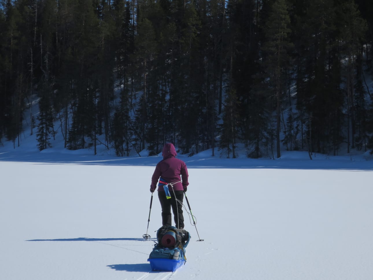Taivalkoskella keväinen iltapäivän aurinko helli hiihtäjiä, jotka yöpyivät Rääpysjärven laavulla.
