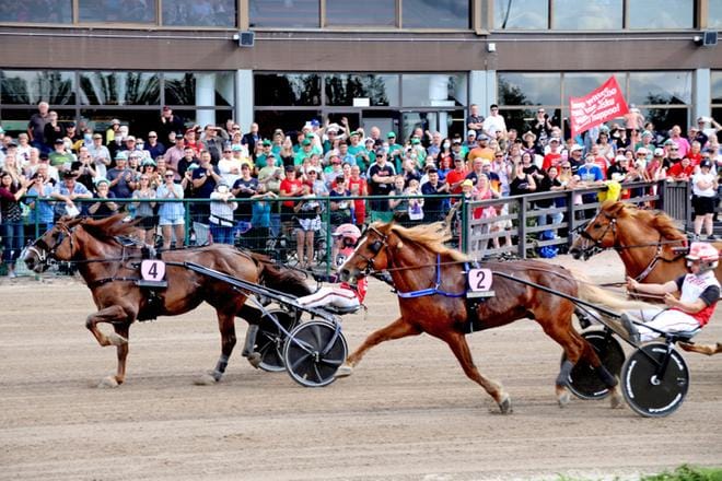 Seinäjoen raviradalla ravattiin Kuninkuusravit viimeksi vuonna 2021 ja sitä ennen koronavuonna 2020. Kuvassa ravaavat Evartti, H.V.Tuuri ja Vixeli. Arkistokuva.