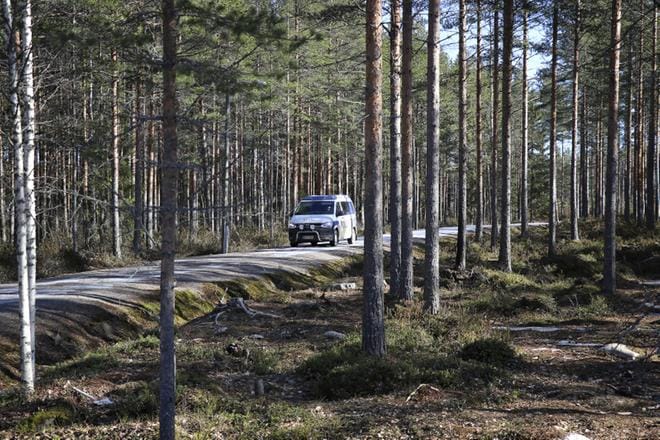 Alajärven keskustan tuntumassa Kuntotien läheisyydessä on todennäköisesti liikkunut peuroja, ei susia. Neljän suden havainto otettiin vakavasti ja poliisi ja petoyhdyshenkilöt tutkivat asian. KUVA: JOHANNA KATAJA