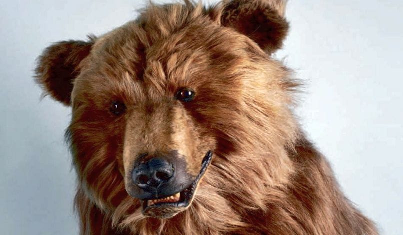 Verokarhu ottaa aina omansa. Sote-uudistuksen yhteydessä kuntien verotuloja siirretään valtiolle hyvinvointialueiden toiminnan rahoittamiseksi. Siksi kunnallinen tuloveroprosentti alenee Kauhavallakin, mutta vastaavasti valtion verotus kiristyy.