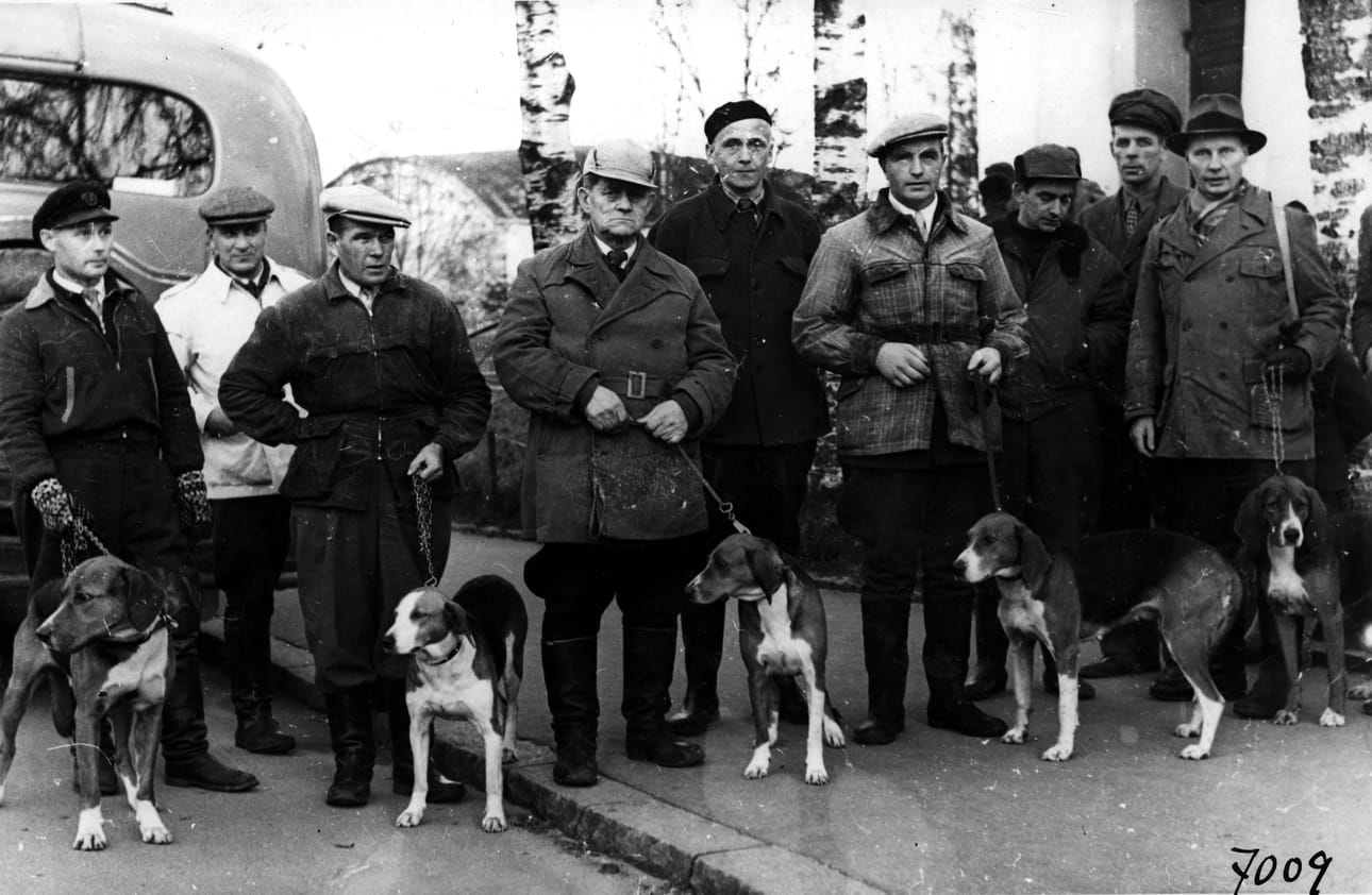 Oulun erä- ja kennelkerhon jäseniä koirineen lähdössä Kuusamoon ajokoirakokeisiin vuonna 1954.