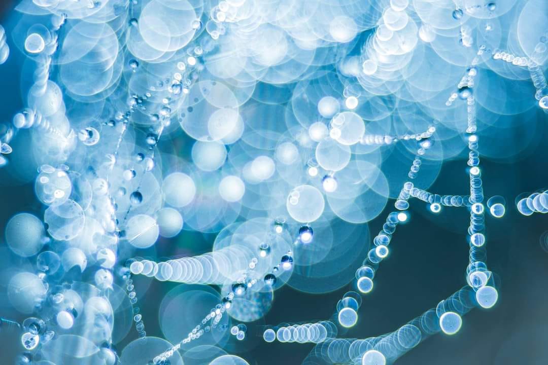 Anna K Greusin Kosmos-valokuva voitti viime vuonna Finnish Photo Awardsin Nature-sarjan.
