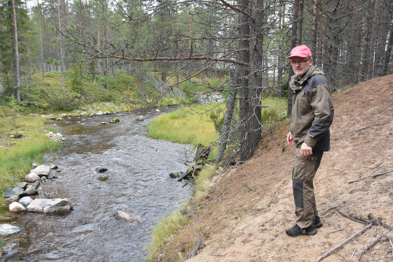 Vilho Haatajan johtamassa osakaskunnassa toivotaan järvilohen kotiutuvan Kuusamon latvavesille.