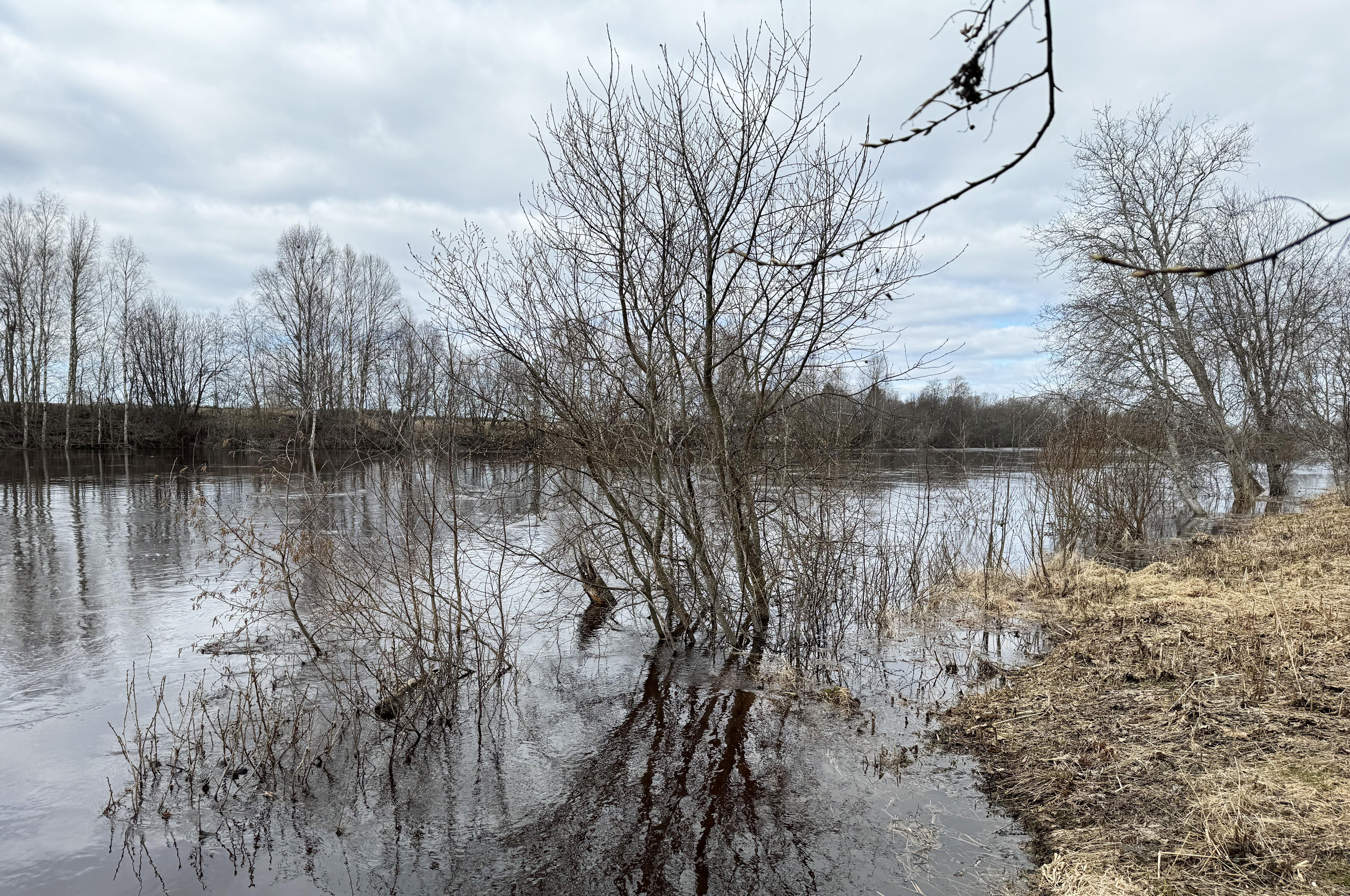 Siikajoella on käsillä toinen tulvahuippu. Vesi voi nousta vielä maanantaina.