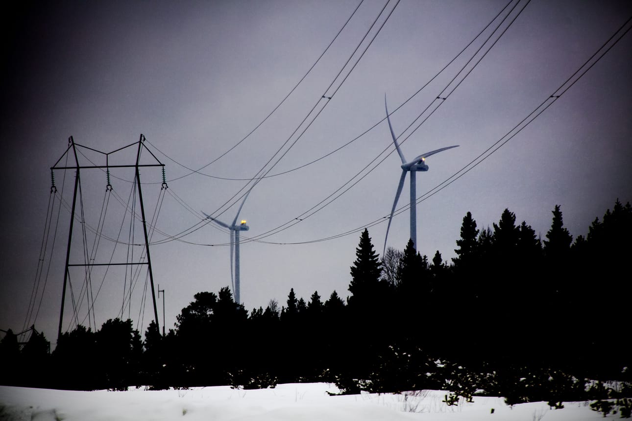 Energiavirasto pyytää Itä-Suomen verkkoyhtiöiltä selvitystä siitä, miten ne ovat varautuneet tykkylumen aiheuttamiin vaikeuksiin.