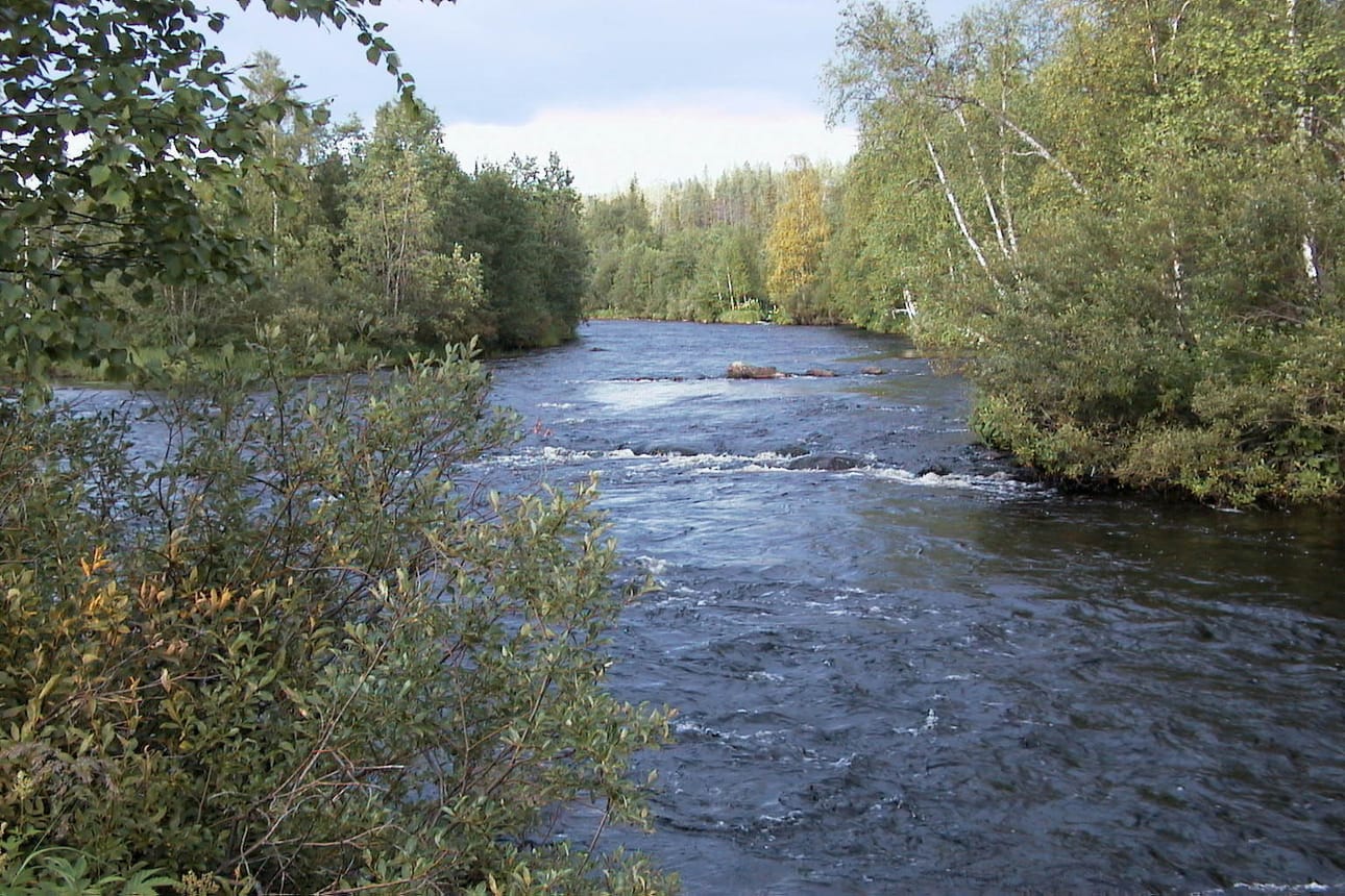 Äkäsjoki on meritaimenten hyvä kutupaikka. Arkistokuva.