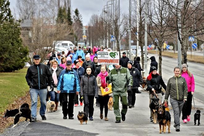 Etelä-Pohjanmaan kennelpiirin järjestämä koirakulkue houkutteli paikalle hyvin sekä kaksi- että nelijalkaisia osallistujia. KUVAT: HEIKKI HAKANEN