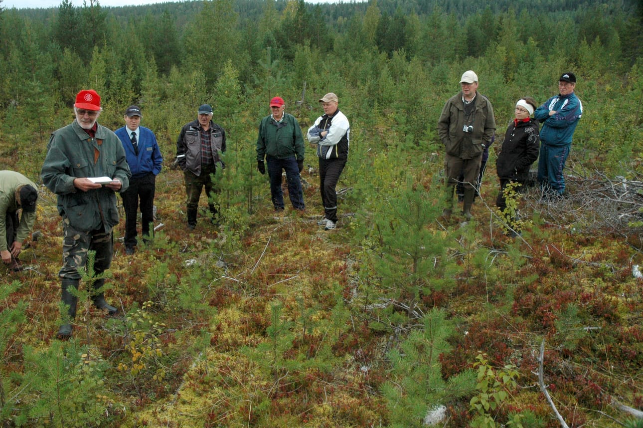 Kuusamon yhteismetsän osakkaille järjestettiin metsäretki lauantaina.