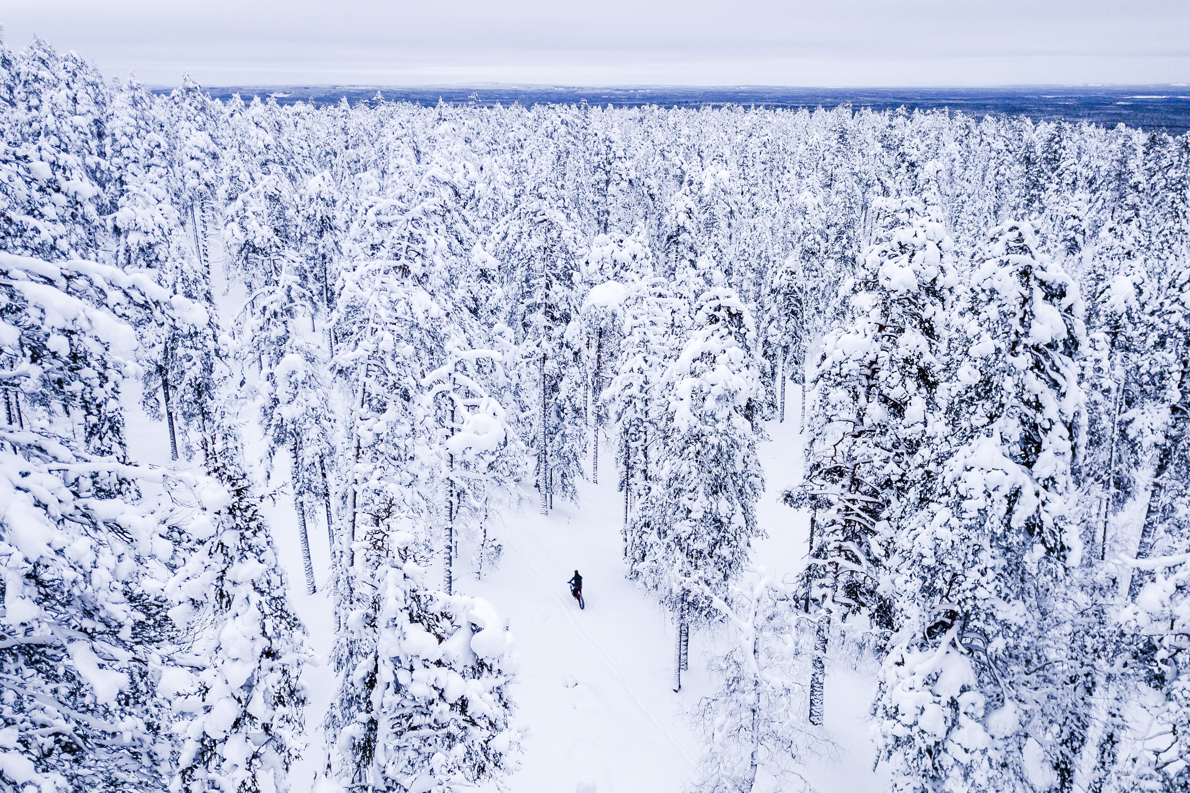 Läskipyörä on kuin kotonaan moottorikelkkaurilla ja talvipoluilla. Lapin tunturikeskuksissa, kuten Pyhätunturilla, on myös varta vasten talvipyöräilyyn tarkoitettuja uria.