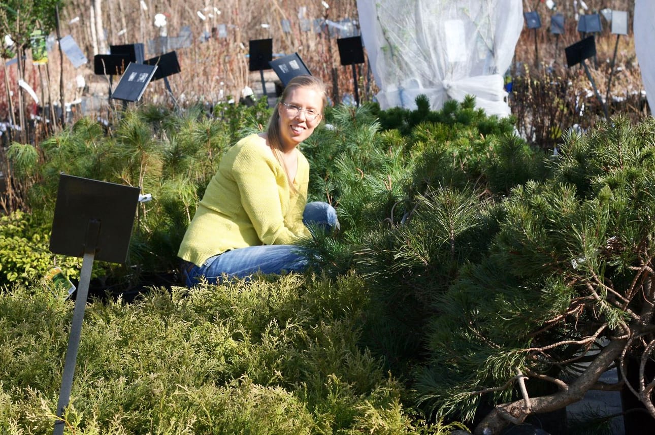 Karoliina Rasin mukaan metsäpuutarha on helppo perustaa.