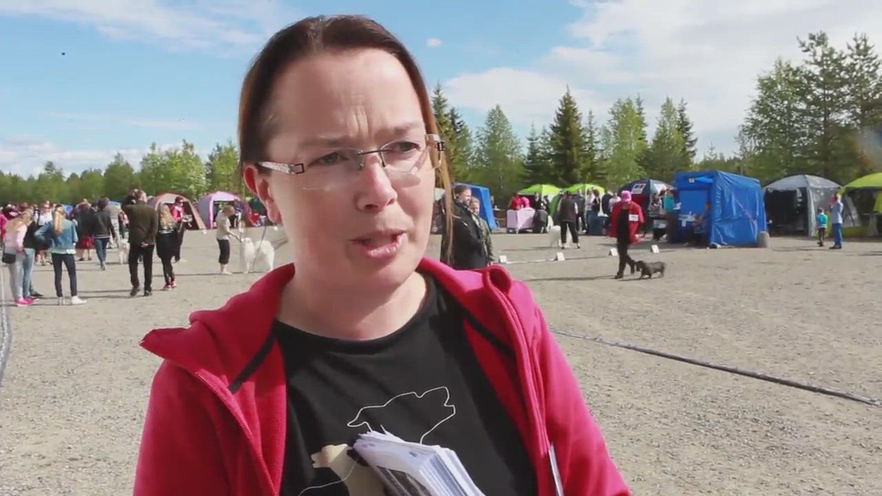 Kansainvälinen kaikkien rotujen koiranäyttely Rovaniemellä