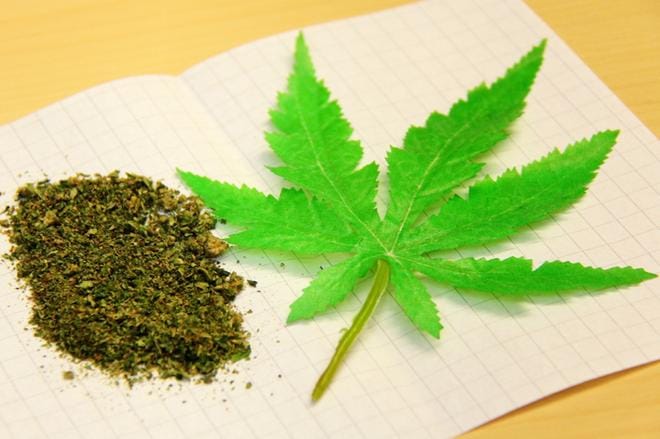 Arkistokuva: Mia Kärkkäinen