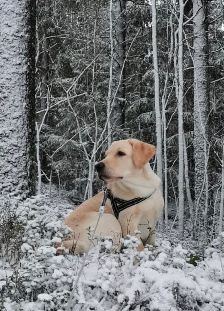 Milon tauko lenkillä, täydellinen kuvaustuokio ja sitten taas matkaan.
