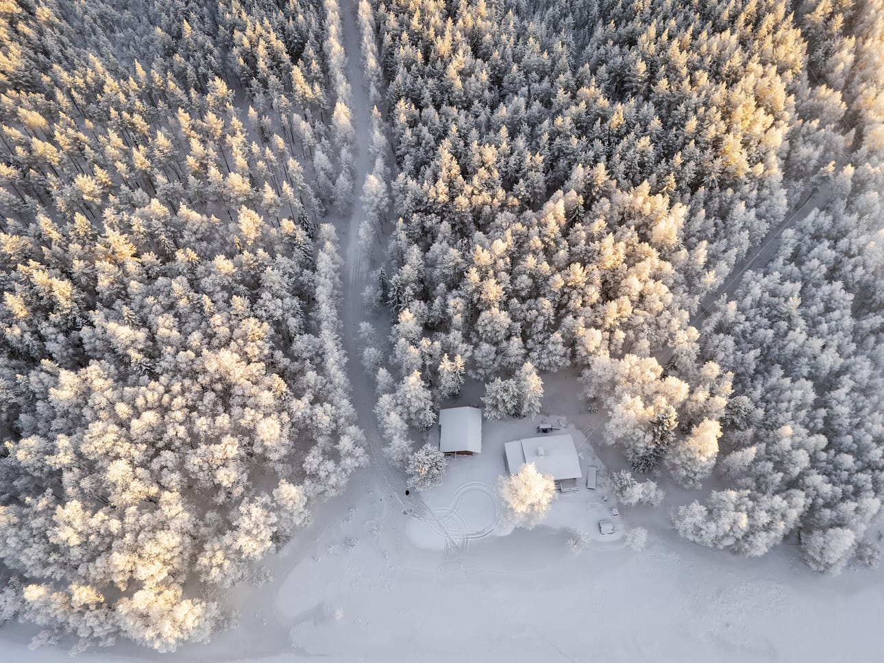 Kiiminkijoen vesi on noussut mökille vievälle tielle ja alavaan metsämaastoon.
