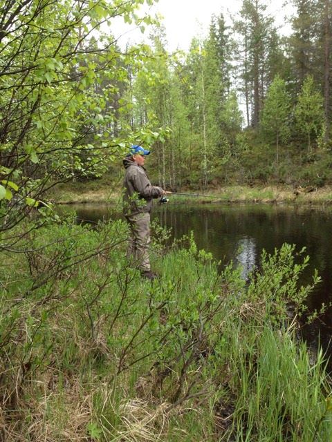Juhannusta vietettiin Meri-Lapissa sekä Tornionjoella idyllisessä maalaisympäristössä lampaiden ja hevosten kanssa Aapajoella. Lohta käytiin narraamassa Matkakoskella sekä Kukkolankoskella, josta yksi lohi sitten saatiin rannalle asti. Lohikärpänen taisikin puraista nuorempaa polvea tällä reissulla...