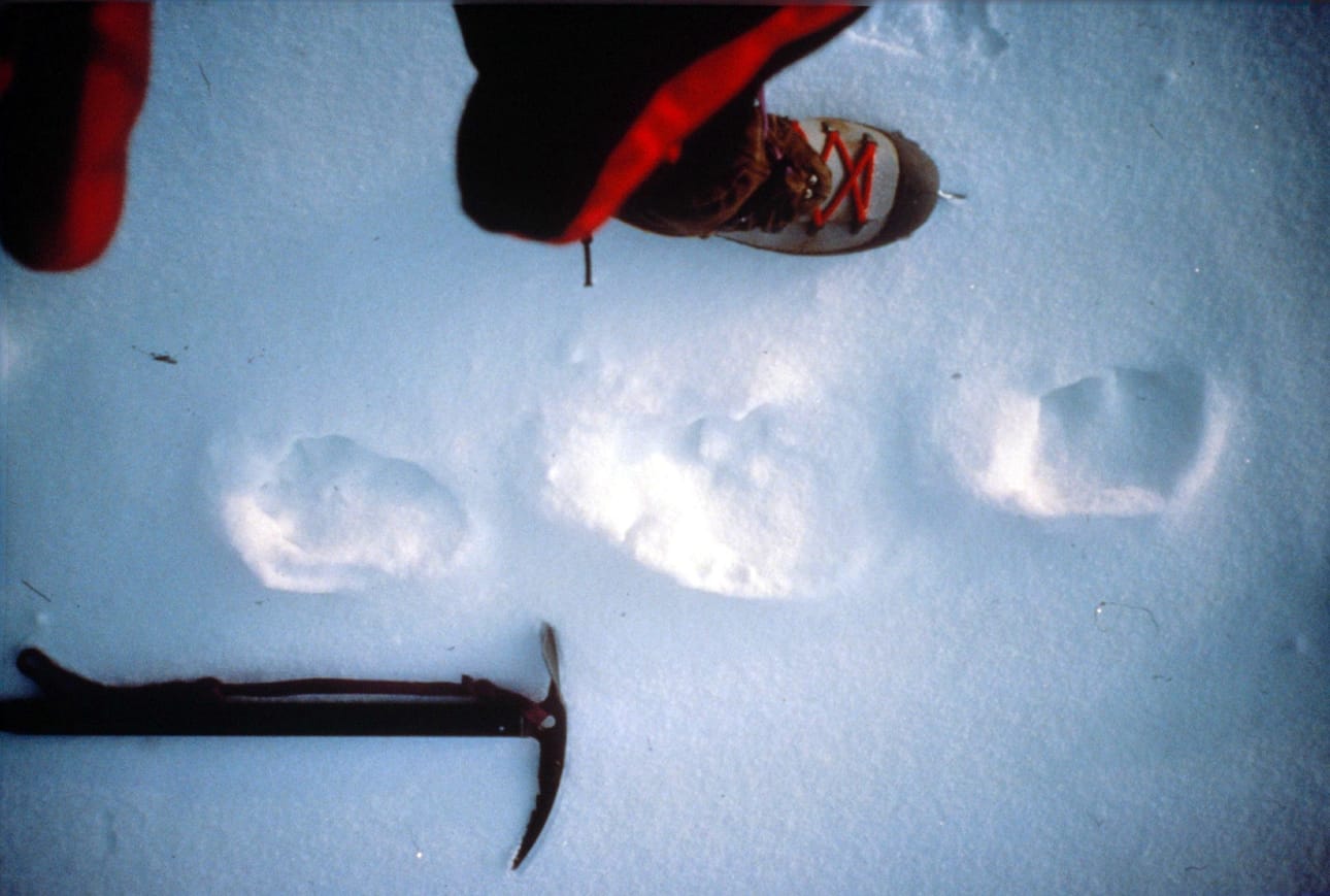 Mongoliasta löydettiin vuonna 1992 jälkiä, joiden uskottiin kuuluneen Siperian lumimiehelle Almalle, jetin ja isojalan kaltaiselle olennolle.