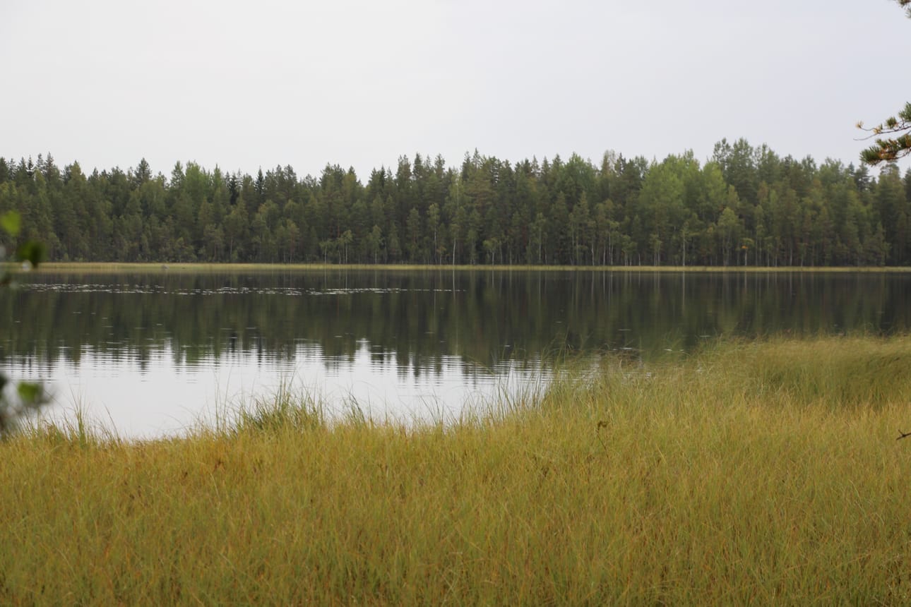 Isojärven maasto on maastollisesti vaihtelevaa ja monipuolista soineen, kallioineen ja lehtomaisine metsineen.