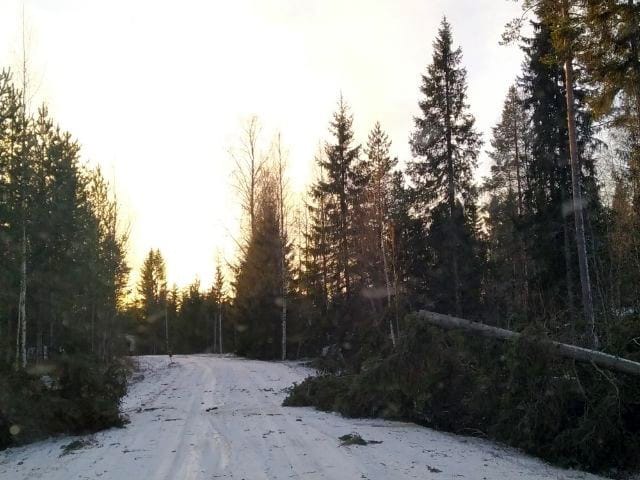 Hannes-myrskyn jälkiä siivottanee vielä pitkään Pyhäjokialueellakin.
