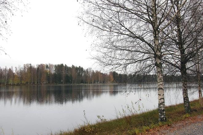 Jos vesilupa tulee alkuvuodesta ja valtion rahoitus kattaa puuttuvan osan kustannusarviosta, Kortesjärven Saarijärveä ruopataan jo ensi kesänä. KUVA: MIA KÄRKKÄINEN