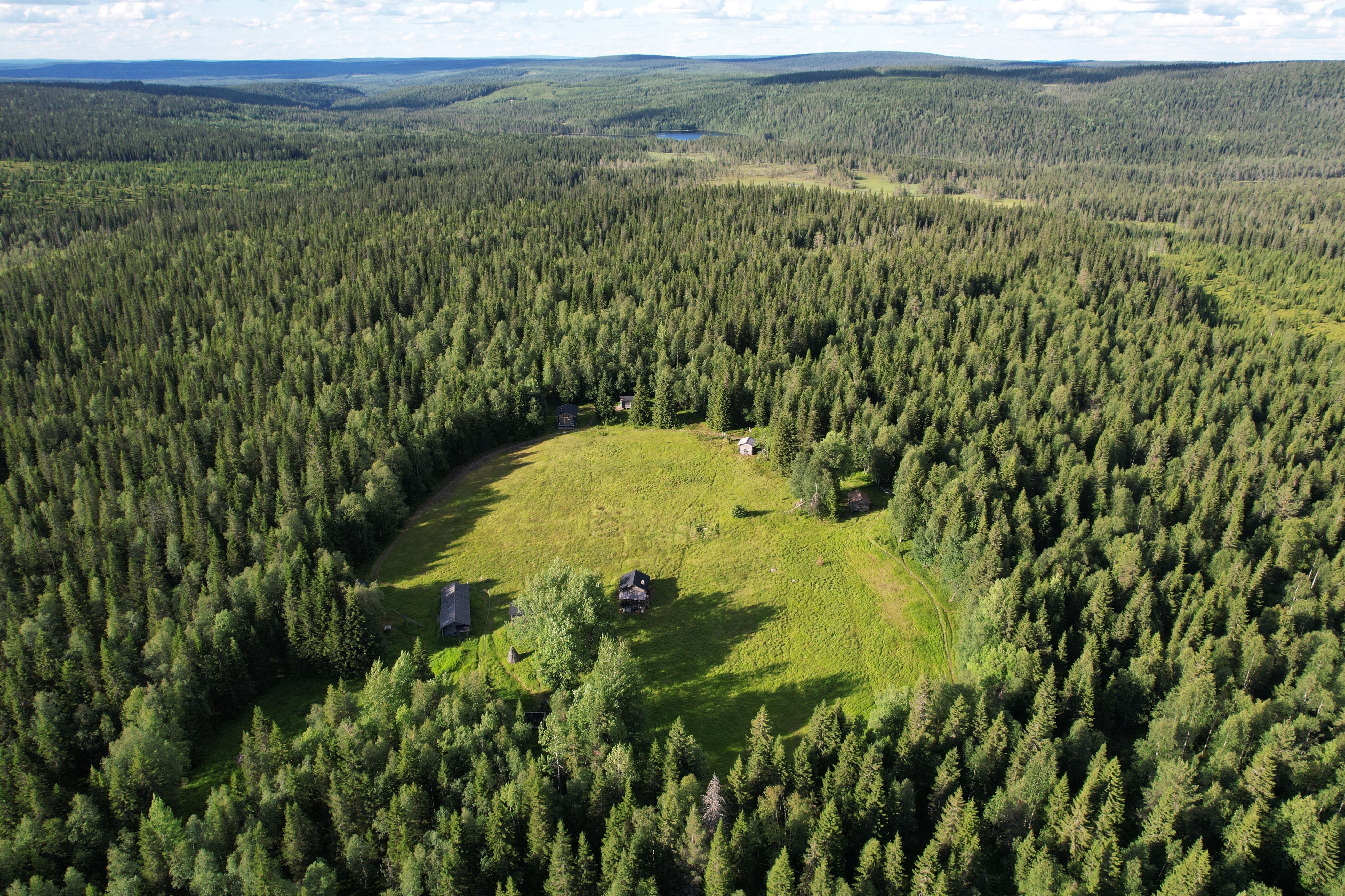 Syötteen kansallispuiston Rytivaaran paimenviikoille haetaan lampaan laskijoita – Metsähallituksen perinne edelleen suosiossa
