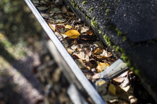Rännien putsaaminen lehdistä on yksi tärkeimpiä talvivalmisteluita omakotitalossa asuvalle. Jos rännit ovat tukossa, sulamisvedet eivät päädy oikeaan paikkaan. Kuva: Jussi Leinonen