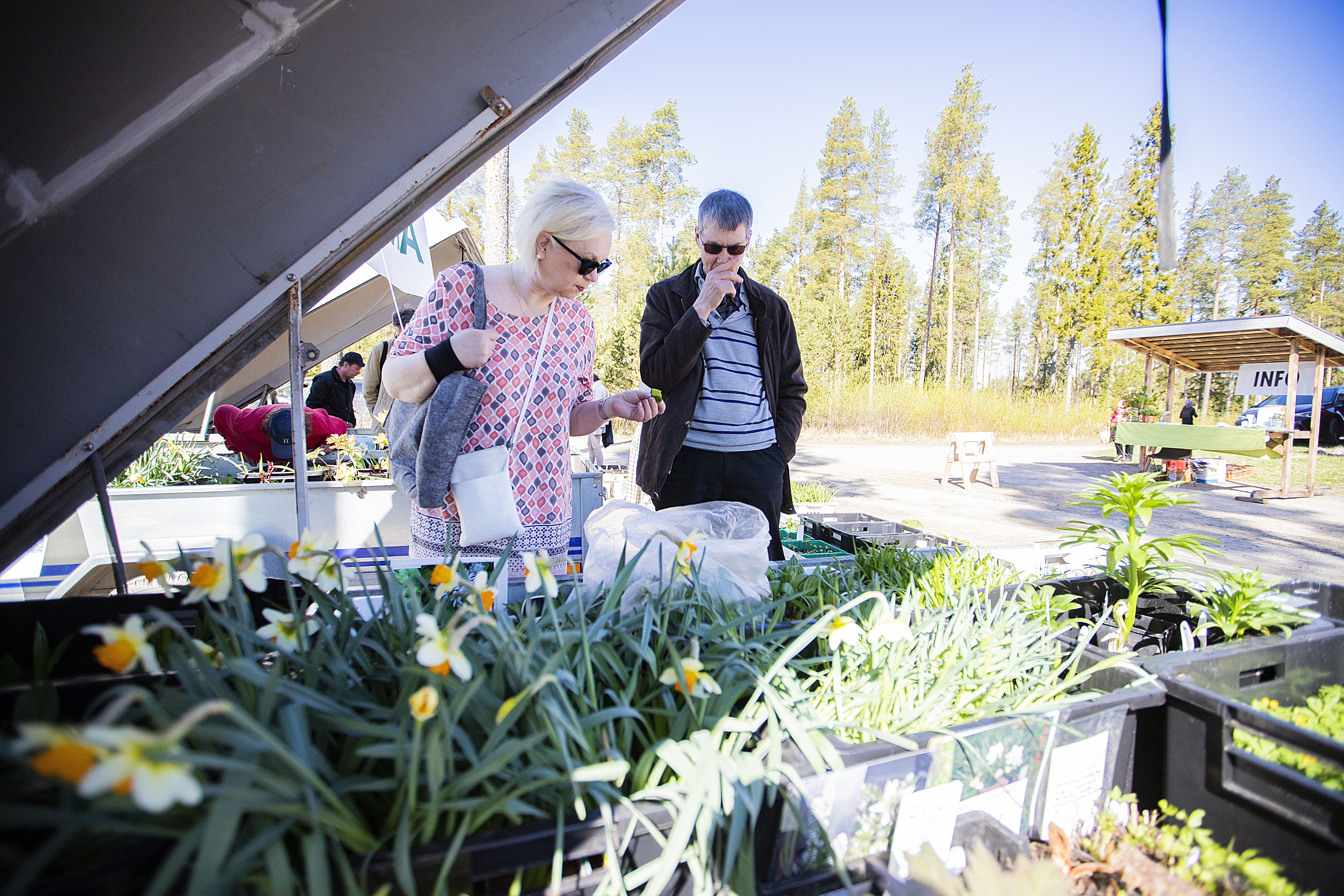 Sinikka ja Ismo Karhu olivat Ruukin puutarhamessuilla ensimmäistä kertaa ja maistelivat ohotanlaukkaa. Sinikka veikkasi, että vierailu puutarhamessuilla tulee näkymään kukkarossa. – Nyt olemme ostaneet jo valko- ja sinivuokkoja ja juuri päätimme, että ostamme myös ohotanlaukkaa. Emmekä ole ehtineet edes sisälle asti, Sinikka nauroi.