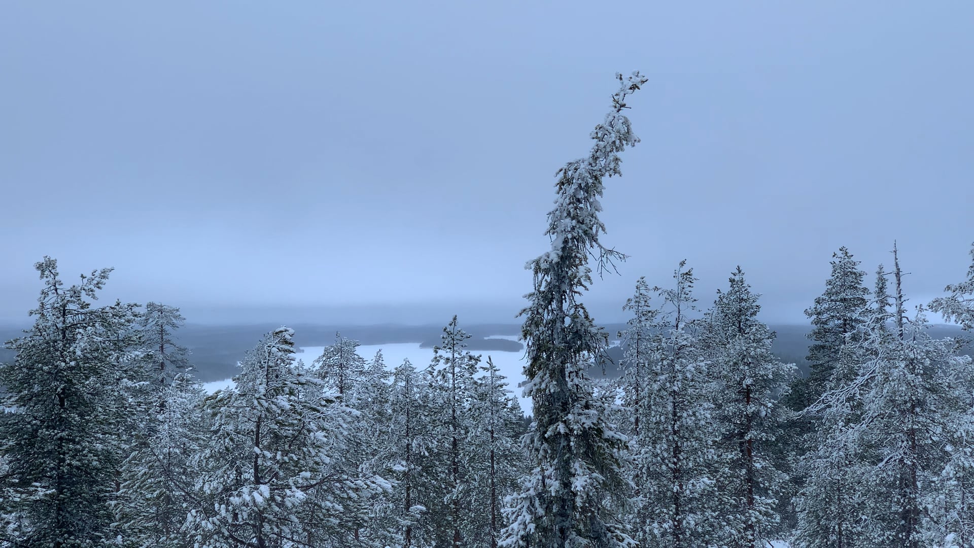 Maisemaa Vanttajavaaralta