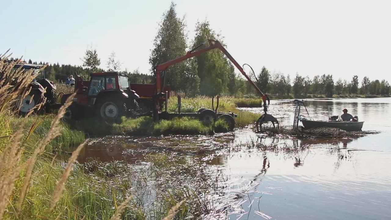 Katso video: Näin nousee vesikasvillisuutta Piipsjärvestä