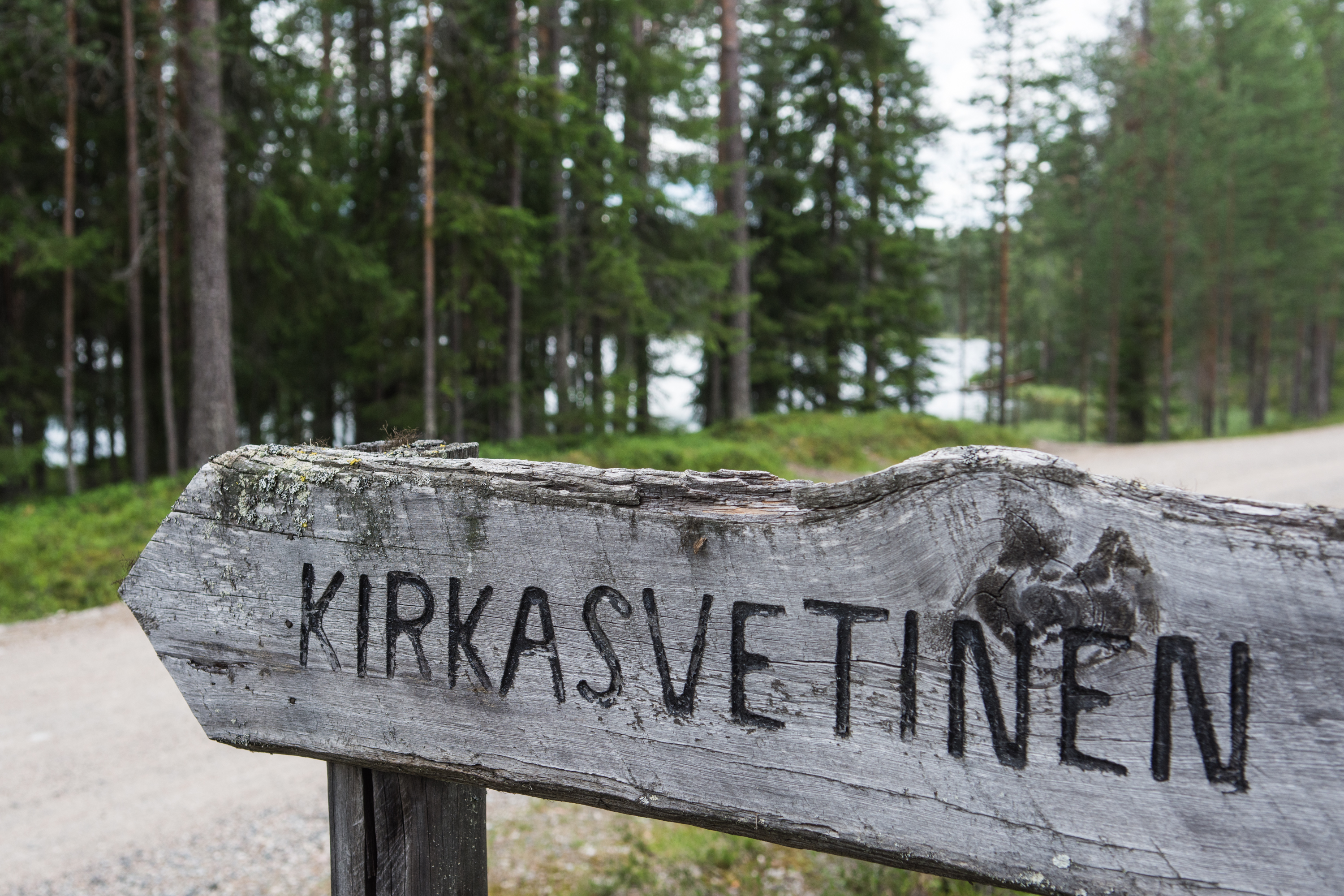 Kirkkaat vedet ovat yksi Suomen vetonauloista.