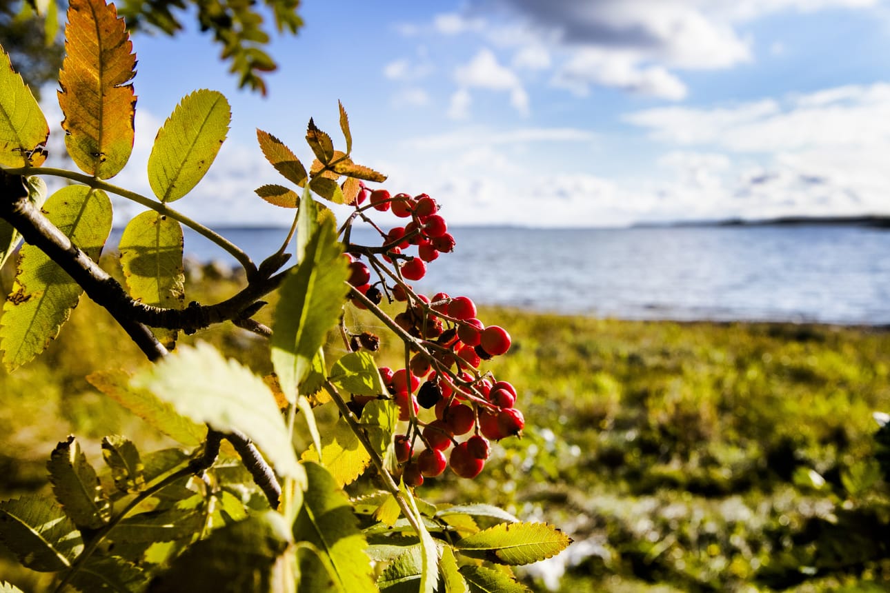 Tuleva viikko alkaa poutaisena ja lämpimänä, mutta sää viilenee viikon keskivaiheilta alkaen päivä päivältä.