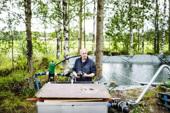 Kukkasmäen marjatilalla on käytössä tihkukastelujärjestelmä, joka pumppaa veden suoraan kasvin juuristoon. Veden mukana maahan menee myös ravinteita. KUVA: KRISTA LUOMA